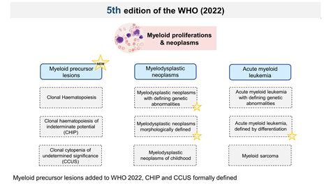 The New Who Classification 2022 Mll