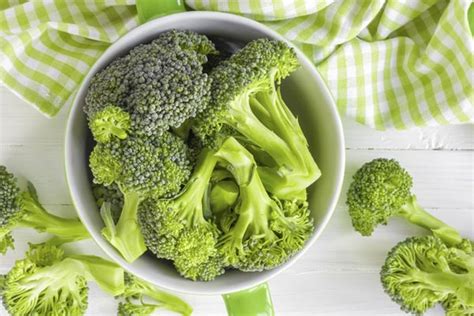 Broccoli For Dogs Healthy Snack Or Dangerous Toxin What