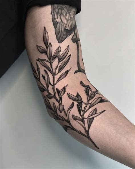 30 Amazing Olive Branch Tattoo Designs With Meanings And Ideas Body
