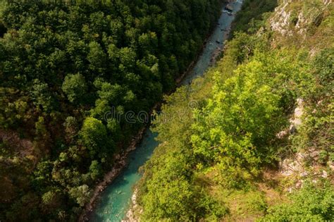 Scenic Mountains And Deep River Tara Canyon Montenegro Stock Image