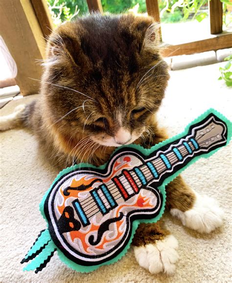 If you are looking for the perfect catnip toy for your cat then have a. Big Guitar Catnip Toy and Cat Kicker