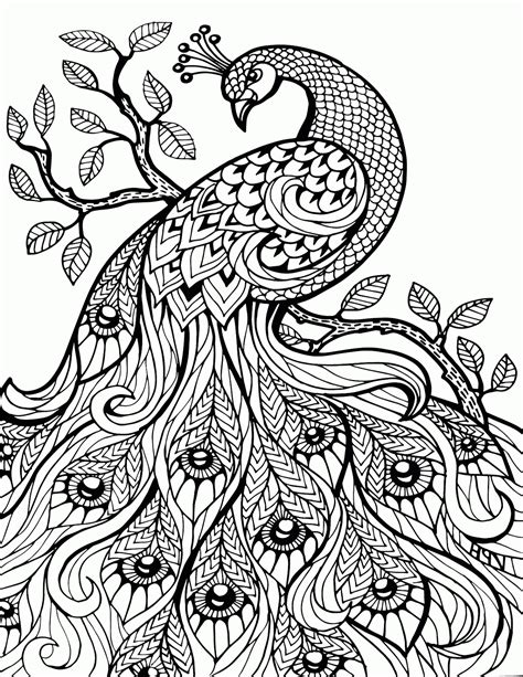 Peacock Coloring Pages Art For Adults