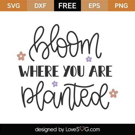 The free cut files include one (1).zip file with: Free Bloom Where You Are Planted SVG Cut File | Lovesvg.com