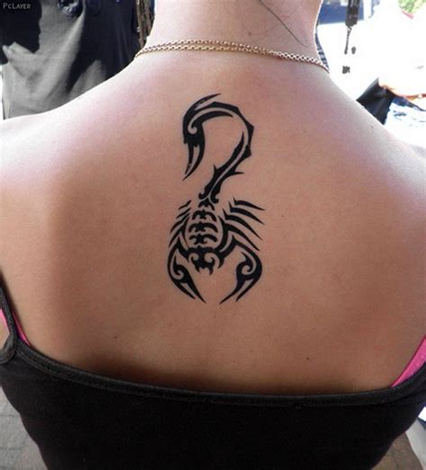 Zodiac tattoos are remarkably widespread among the people who actually believe in if you need to evade getting a scorpion tattoo because they creep you out, you can invariably go for the scorpion symbol tattoo which resembles. Tattoo zodiac sign Scorpio - Tattoos and permanent makeup