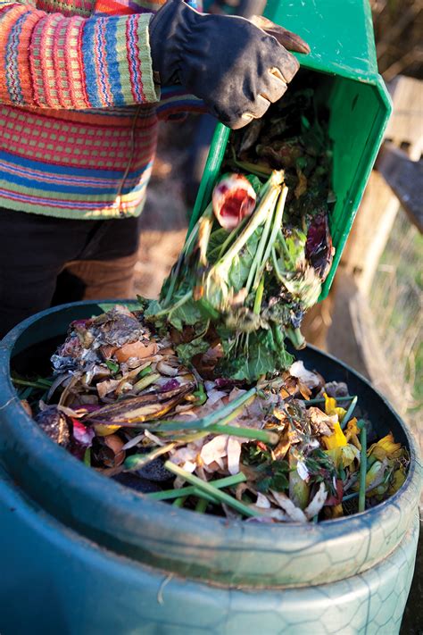 Composting A How To Guide For Healthy Yards Gardening At Usask