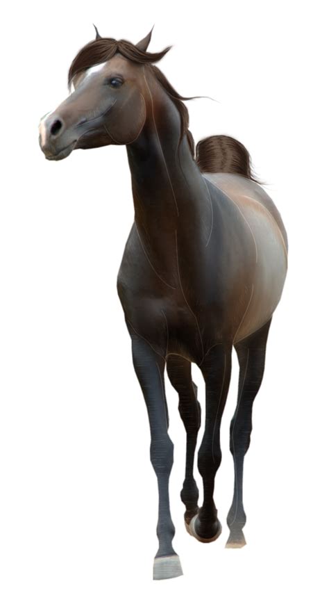 Horse Png Image Transparent Image Download Size 900x1676px
