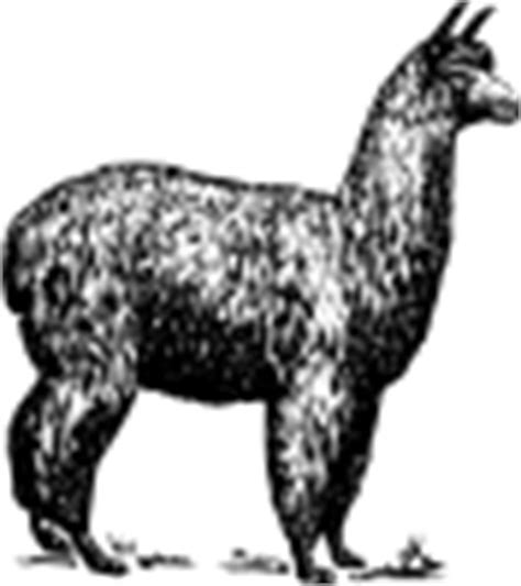 Download Alpaca clip art (118347) Free SVG Download / 4 Vector