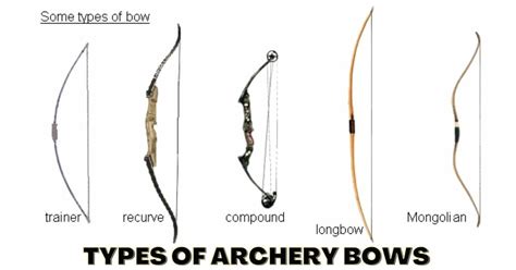 Types Of Archery Bows Beginners Guide 2022