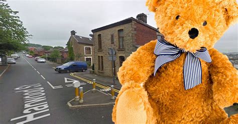 Desperate Burglar Who Had Sex With Teddy Bear During Raid Is Caught