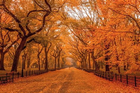Best Fall Foliage In New York From Central Park To The