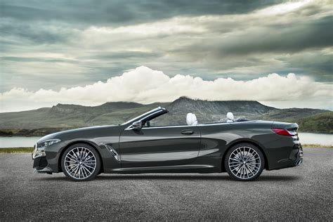 2019 Bmw 8 Series Convertible Officially Revealed Gtspirit