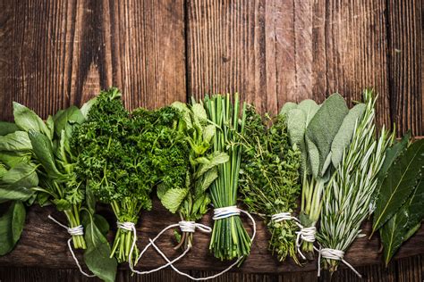 Cooking 101 The 15 Most Common Culinary Herbs And How To Cook With Them 2022 Masterclass