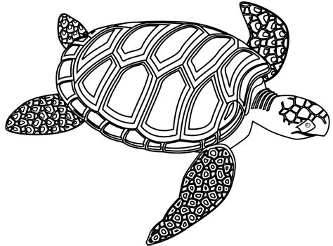 Clip Art Green Sea Turtle Black White Line Clipart Best