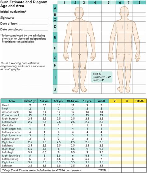 Modified Lund And Browder Chart