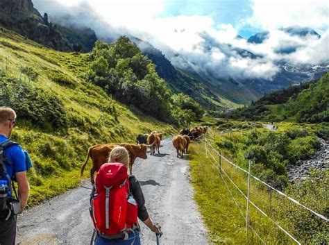 318 ferienwohnungen & ferienhäuser in oberstdorf ☀ urlaub im allgäu ⛷ skifahren ★ mountainbiken ☀ wandern in den bergen | jetzt ferienwohnung in oberstdorf mieten! E 5 Alpenüberquerung Oberstdorf - Meran | Zu Fuß über die ...