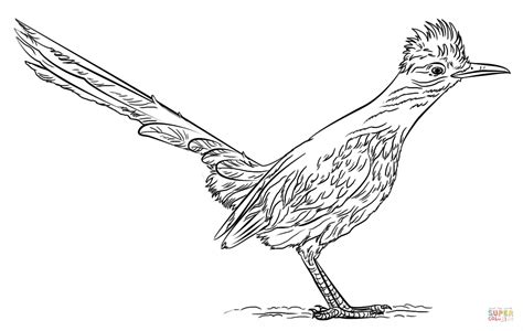 Roadrunner Coloring Pages Coloring Home