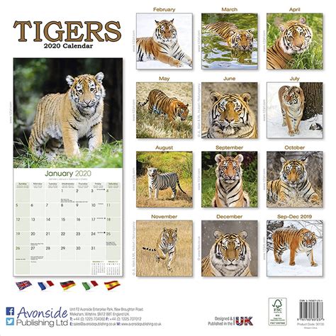Tigers Calendar 2020 Pet Prints Inc
