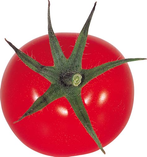 Big Red Tomato Png Transparent Image Download Size 1475x1569px