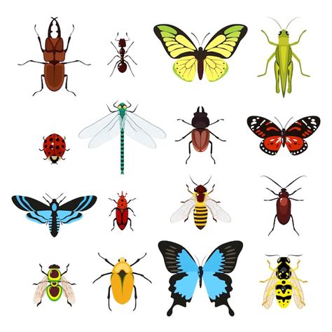 Free Vector Set Of Different Insects