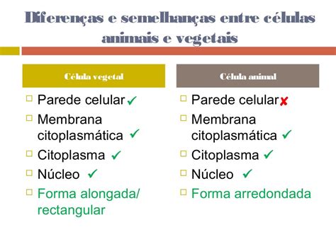 Diferença Entre Célula Animal E Vegetal Brainly
