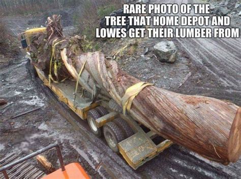 Twisted Lumber Firewood Hoarders Club
