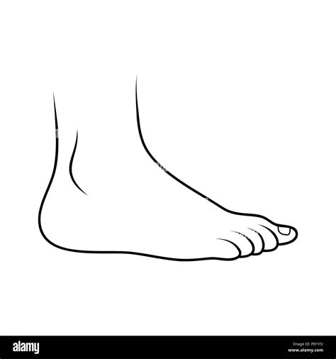 Outline Of Feet Stock Photos And Outline Of Feet Stock Images Alamy