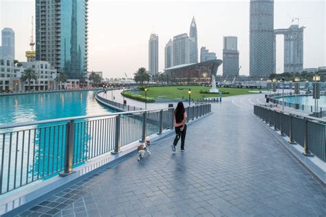 Top Neighborhoods In Dubai Where Expats Thrive Khaleej Mag