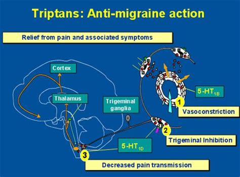 Für eine ziemlich lange zeit wird das medikament viagra sildenafil citrat von amerikanischer firma pfizer in der medizinischen praxis auf der ganzen welt für die behandlung der impotenz verwendet. Triptan maxalt - Apotheke