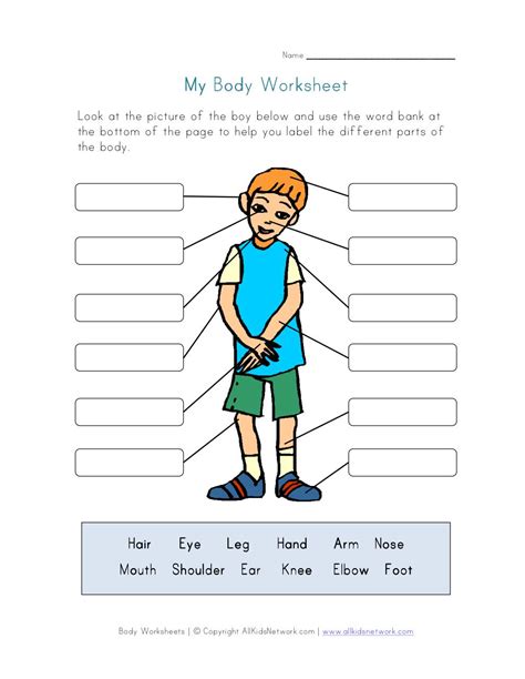 Spanish Body Parts Worksheet Pdf Parts Of The Body — 14 Puzzle Packet
