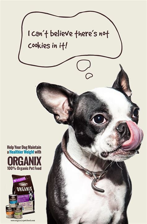 Organix Pet Food Ads On Behance Pet Shop Pet Advertising Organic Pet