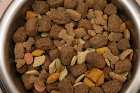 Food and drug administration is alerting pet owners about a food recall after 28 dogs were reported dead and eight more ill. FDA recalls pet food after at least 28 dogs die | TAG24