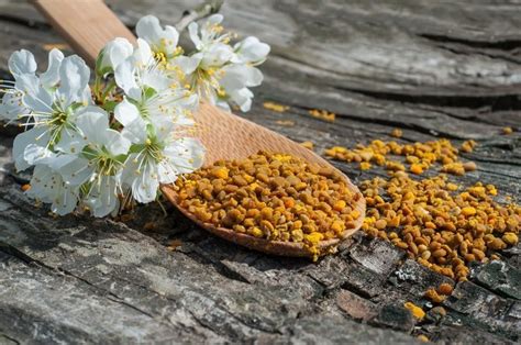 Пчелиная пыльца: полезные свойства, как принимать | Питание и наука
