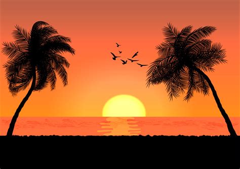 Landscape View Drawing Palm With Sunset Or Sunrise Background Vector