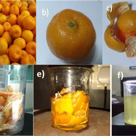 Pdf Synthesis Of Tio2 Nanoparticles From Orange Fruit Waste