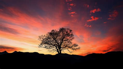 Download Wallpaper 3840x2160 Trees Red Sky Sunset Clouds Uhd 4k
