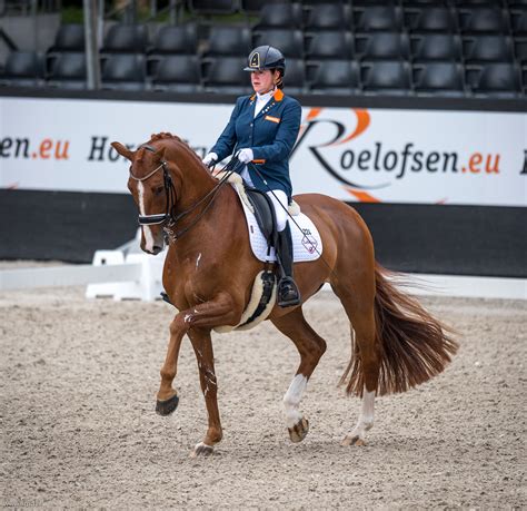 She received a score of 82,085 percent from. Sanne Voets op kop in Grade IV Mannheim - Horses.nl