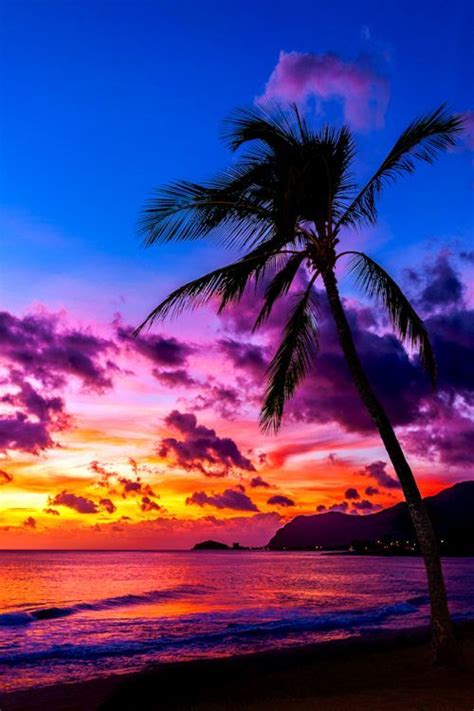 Best hawaii iphone wallpapers and hd background images for your device! vividessentials: "Hawaii | vividessentials " | Sunset wallpaper, Nature pictures, Beautiful ...