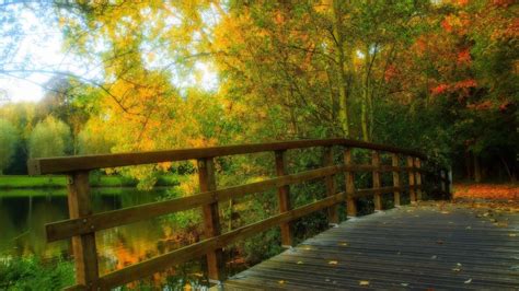 Bridges Wonderfulwooden Bridge Fall Hdr Autumn