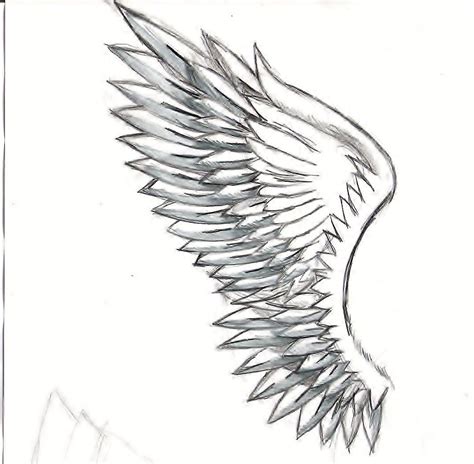 Wing Drawing By Snowblazeadmind On Newgrounds Wings Drawing Wings