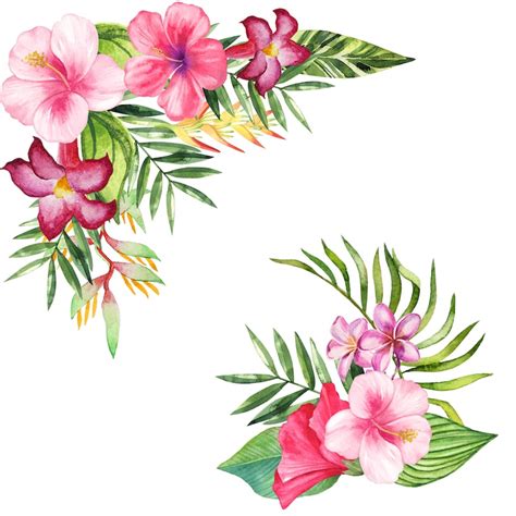 Watercolor Tropical Flowers Clipart Pink Hibiscus Palm Etsy India