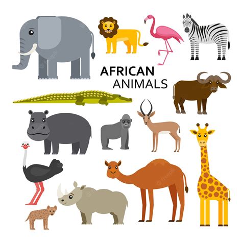 Premium Vector African Or Zoo Animals Cute Cartoon Characters