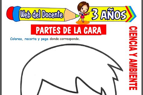 Partes De La Cara Para Niños De 3 Años Web Del Docente