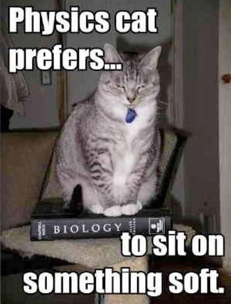 Physics Cat Serious Lol Yet As A Biologist Im Slightly Offended Lol