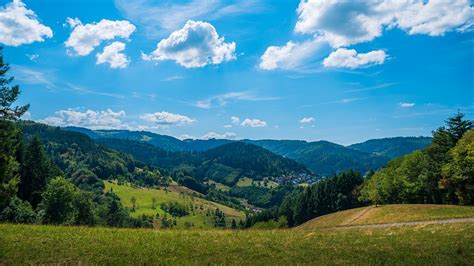 Black Forest National Park Nature Free Photo On Pixabay