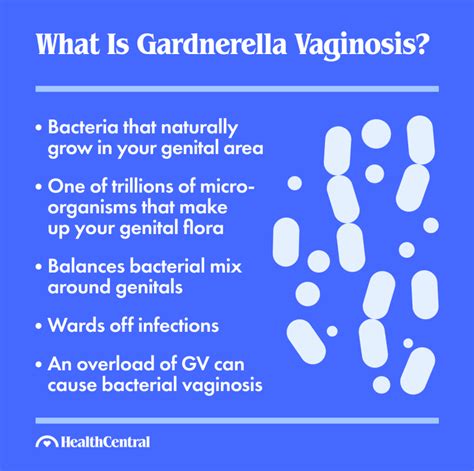 Gardnerella Vaginalis Signs Symptoms And Treatment 2022