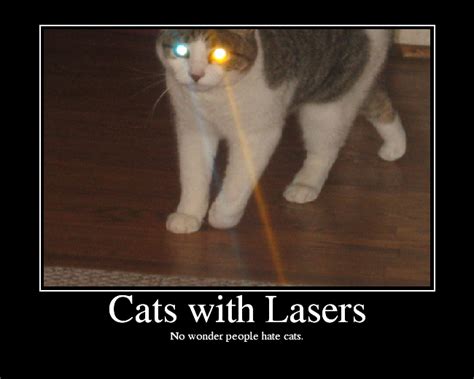 Cats With Lasers Picture Ebaums World