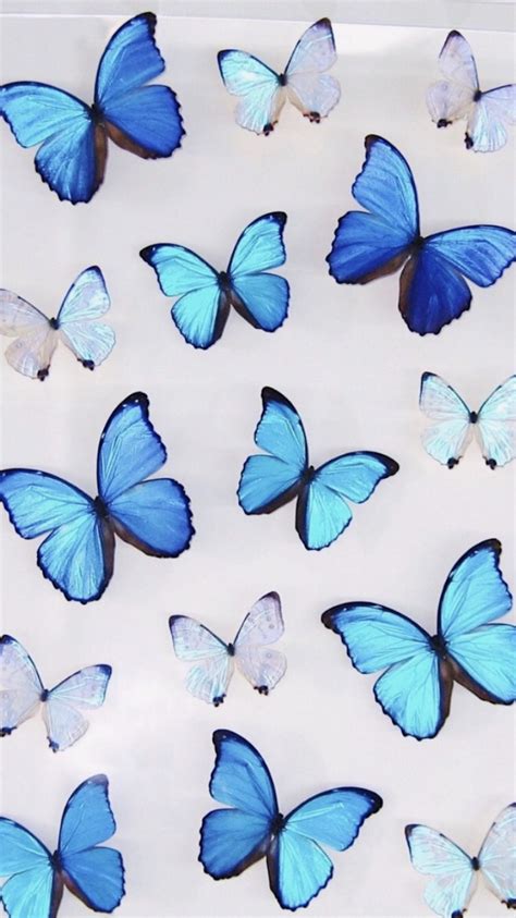 Background Wallpaper Iphone Pastel Blue Butterfly Aesthetic Jurrystieber