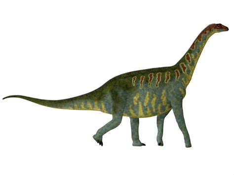 Jobaria Dinosaur Side View Jobaria Was A Herbivorous Sauropod