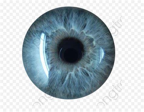 Png Transparent Eye Lens Png Hd Green Eyes Png Free Transparent Png