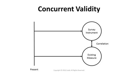 Concurrent Validity Evidence Shows Correlations With Other Measures